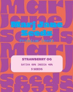 Marj Jane Strawberry OG Fem. 3St.