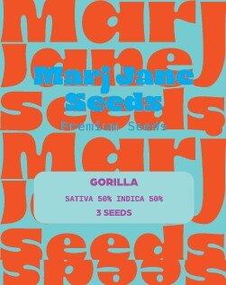 Marj Jane Gorilla Fem. 3St.