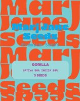 Marj Jane Gorilla Fem. 3St.
