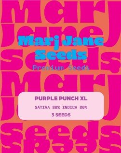Marj Jane Purple Punch XL Auto Fem. 3St.