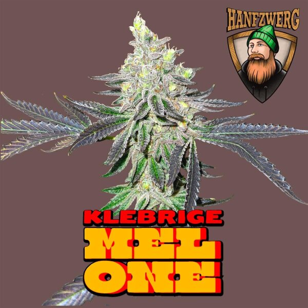 Hanfzwerg Klebrige Melone Fem. 3St.