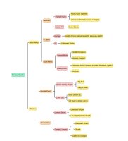 Growers Choice Mimosa Gusher Fem 3St.