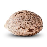 Ripper Seeds Zombie Kush Fem 3St.