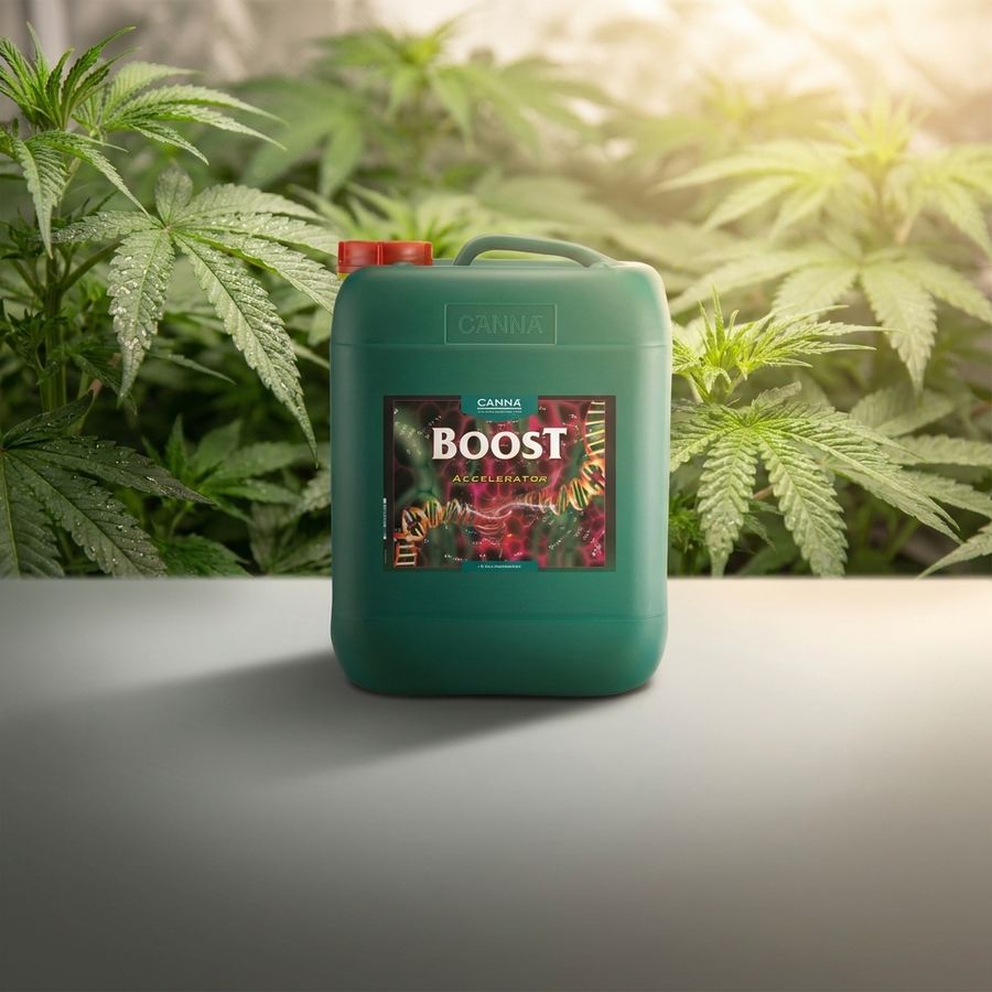 CANNA BOOST Accelerator im Gewächshaus
