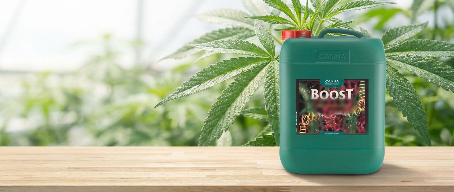 CANNA BOOST Accelerator im Gewächshaus