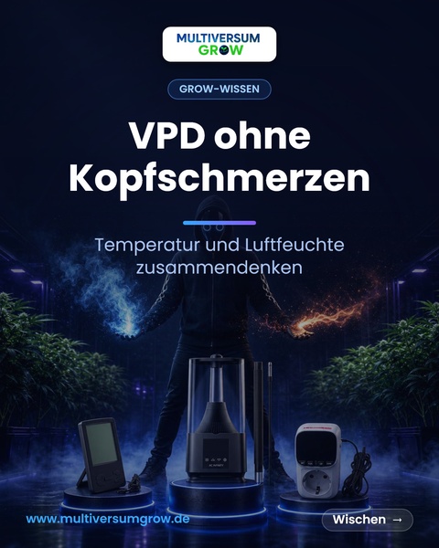 VPD klingt nach Formel – heißt aber nur: Temperatur und Luftfeuchte zusammen im Blick beha