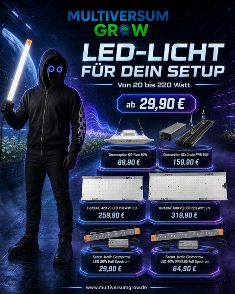 Licht an im Multiversum! 🌌 KingMad Tony zeigt dir die passenden LEDs für dein Setup. Wir h