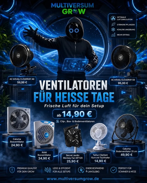 Heisse Tage? KingMad bringt frischen Wind ins Grow-Multiversum. 🌌💨💙

Gerade bei warmem Wet