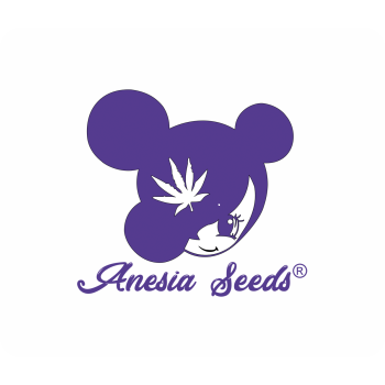 Anesia