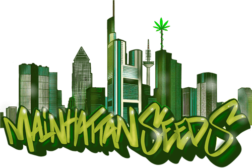Mainhattan Seeds