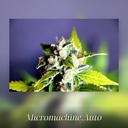Kannabia Mikromachine Auto Fem. 3St. – Ansicht 3
