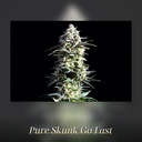 Kannabia Pure Skunk Go Fast Fem. 3St. – Ansicht 3