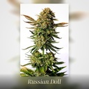 Kannabia Russian Doll Fem. 3St. – Ansicht 3
