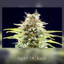 Kannabia Super OG Kush Fem. 3St. – Ansicht 2