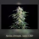 Kannabia Swiss Dream Auto CBD Fem. 3St. – Ansicht 2