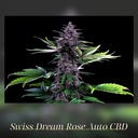 Kannabia Swiss Dream Rose Auto CBD Fem. 3St. – Ansicht 2