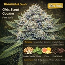 Bloom Bulk Seeds Girls Scout Cookies Fem 10St. – Ansicht 3
