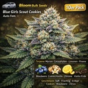 Bloom Bulk Seeds Blue Girls Scout Cookies Auto Fem 10St. – Ansicht 3