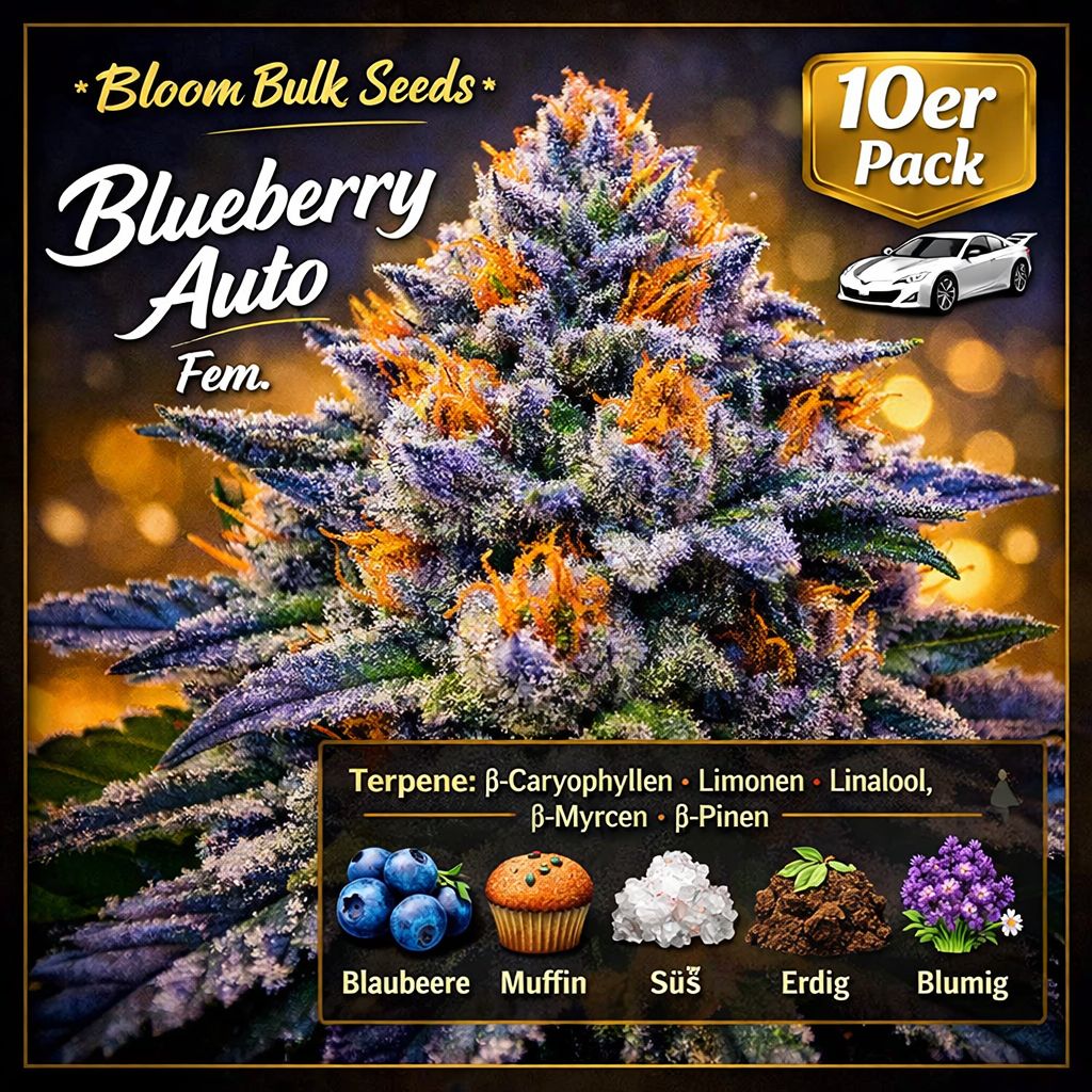 Bloom Bulk Seeds Blueberry Auto Fem 10St. – Ansicht 3