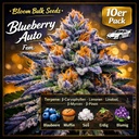 Bloom Bulk Seeds Blueberry Auto Fem 10St. – Ansicht 3