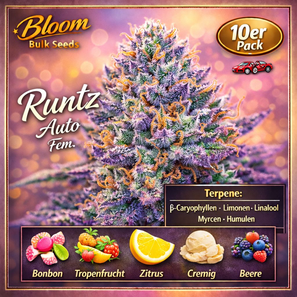 Bloom Bulk Seeds Runtz Auto Fem 10St. – Ansicht 3