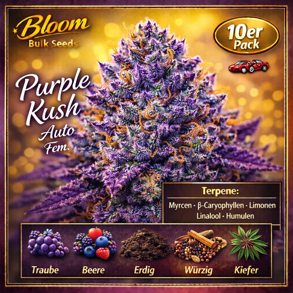 Bloom Bulk Seeds Purple Kush Auto Fem 10St. – Ansicht 2