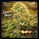 Bloom Bulk Seeds Lemon Haze Auto Fem 10St. – Ansicht 3