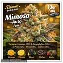 Bloom Bulk Seeds Mimosa Auto Fem 10St. – Ansicht 3