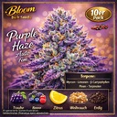 Bloom Bulk Seeds Purple Haze Auto Fem 10St. – Ansicht 3