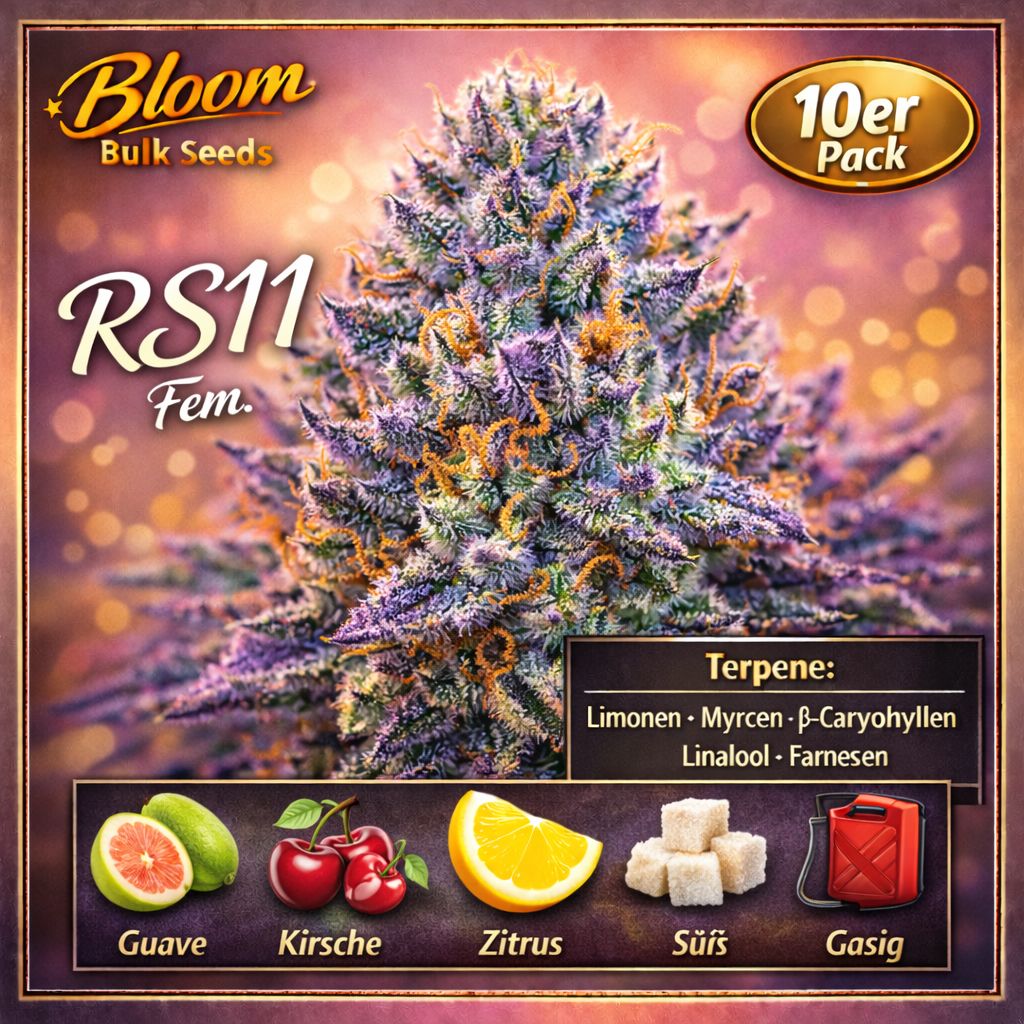 Bloom Bulk Seeds RS11 Fem 10St. – Ansicht 3