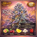 Bloom Bulk Seeds RS11 Fem 10St. – Ansicht 3