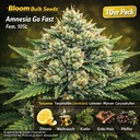 Bloom Bulk Seeds Amnesia Go Fast Fem 10St. – Ansicht 3
