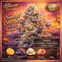 Bloom Bulk Seeds Sunset Sherbet Go Fast Fem 10St. – Ansicht 3