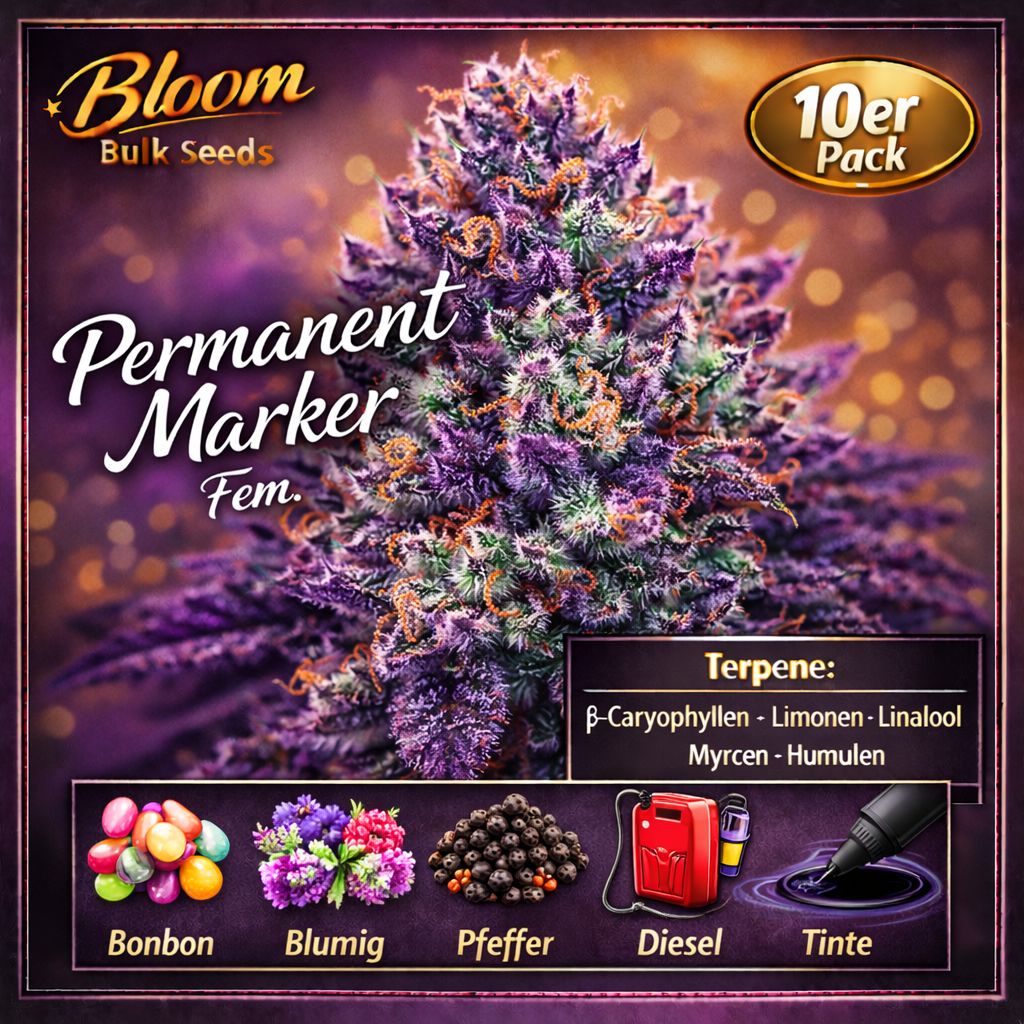 Bloom Bulk Seeds Permanent Marker Fem – Ansicht 3