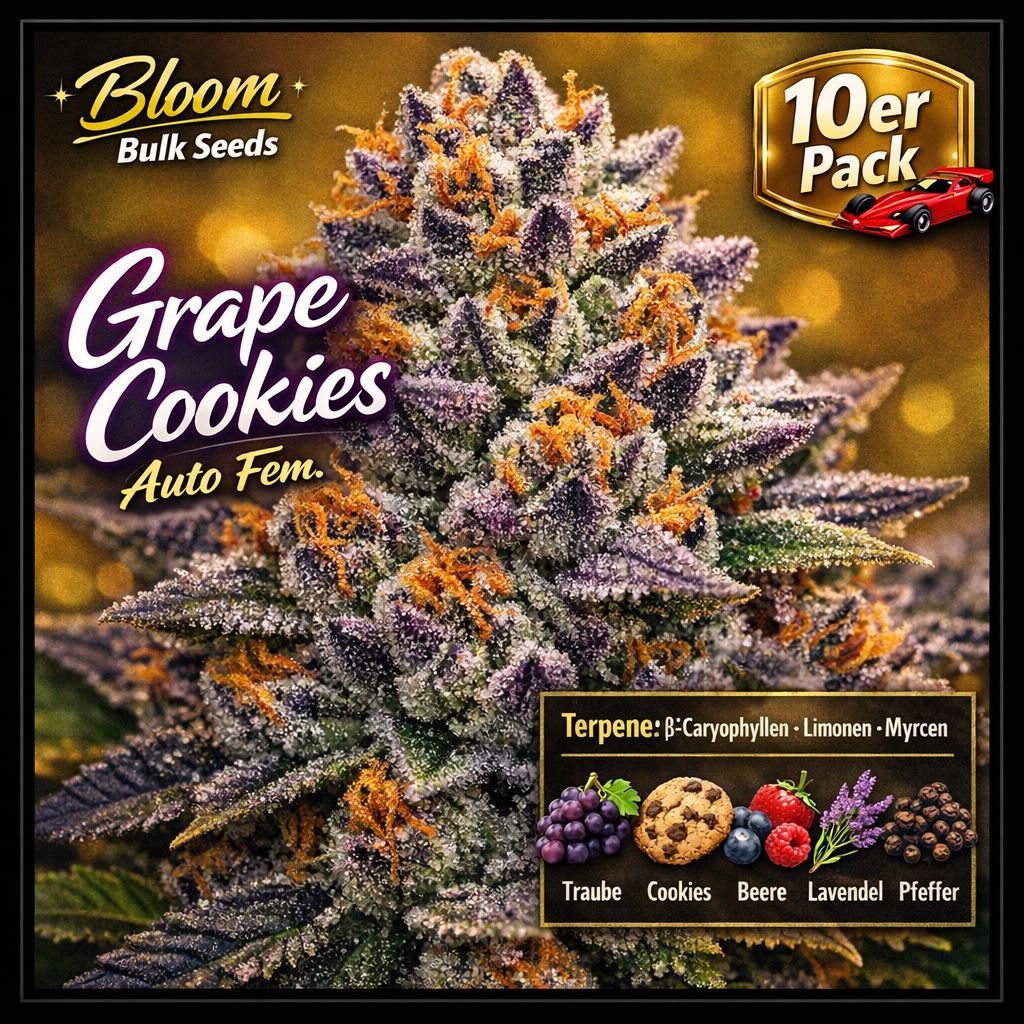 Bloom Bulk Seeds Grape Cookies Auto Fem 10St. – Ansicht 2