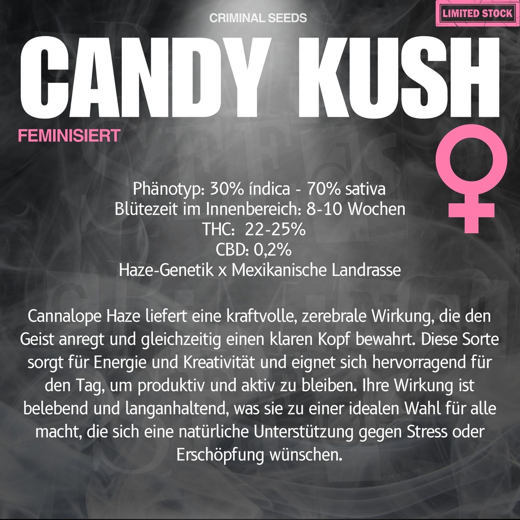 Criminal Seeds Candy Kush Fem 3St. – Ansicht 4