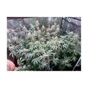 17546-bild-02