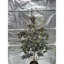 17549-bild-02