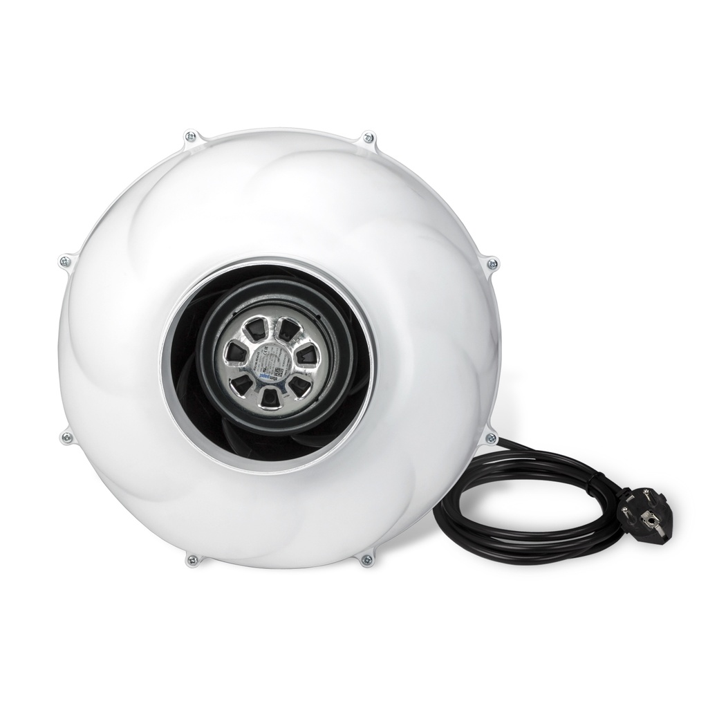11113-2.jpg