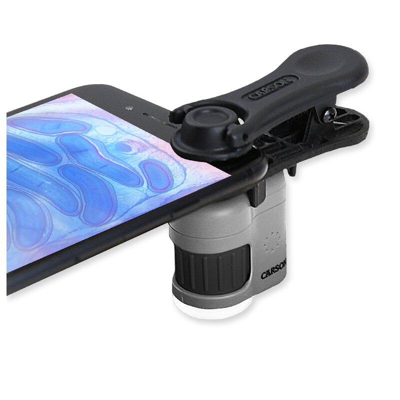 11165-3.jpg