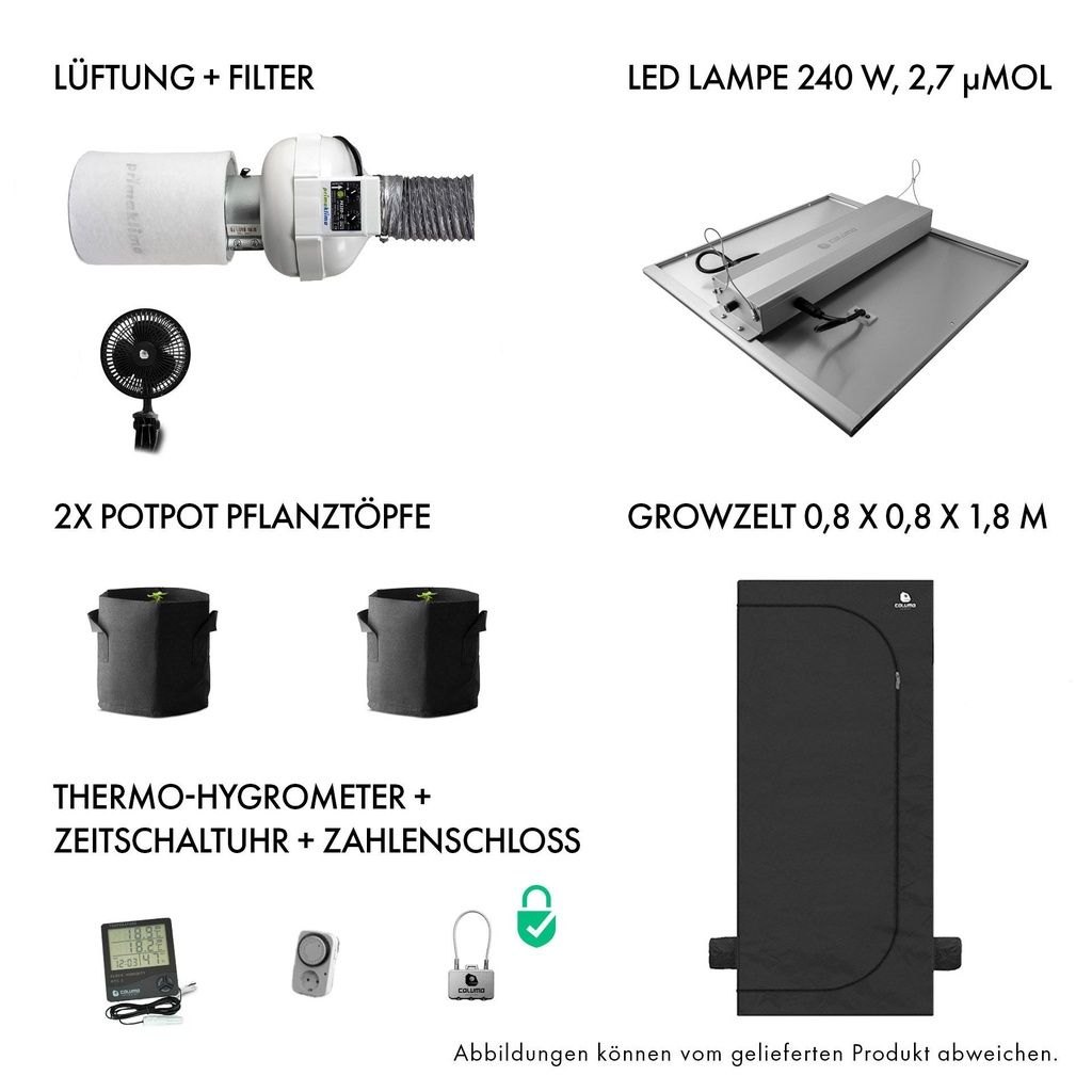 11240-2.jpg