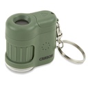 11343-2.jpg
