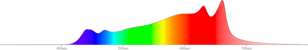 14406-3.jpg