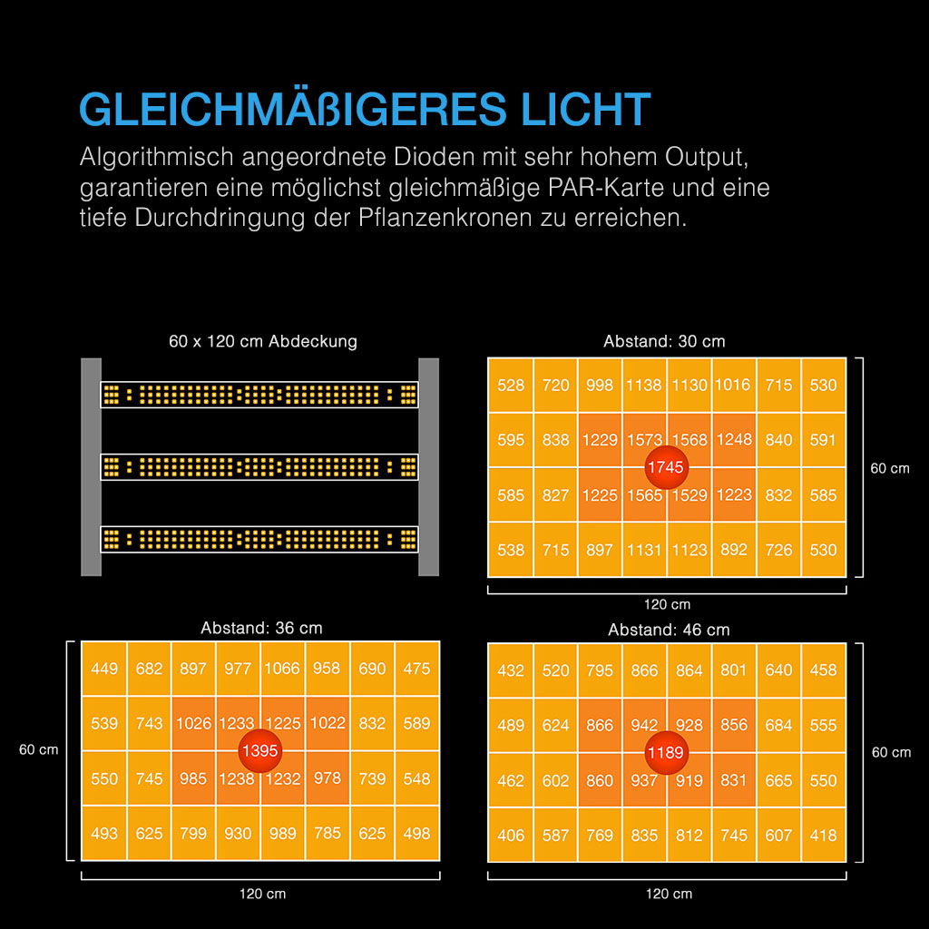 14438-2.jpg