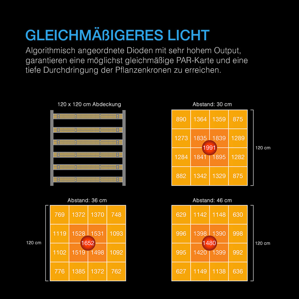 14440-2.jpg