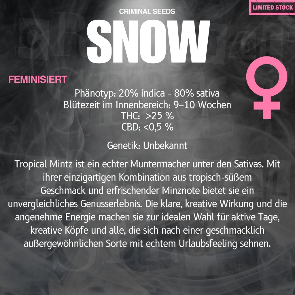 Criminal Seeds Snow x Cali Fem 3St. Bild 2
