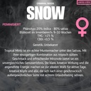 Criminal Seeds Snow x Cali Fem 3St. Bild 2