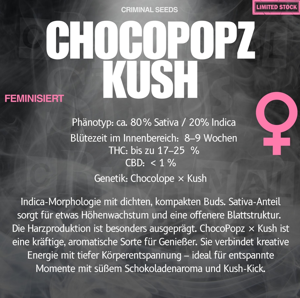 Criminal Seeds Chocopopz Kush Fem 3St. Bild 2