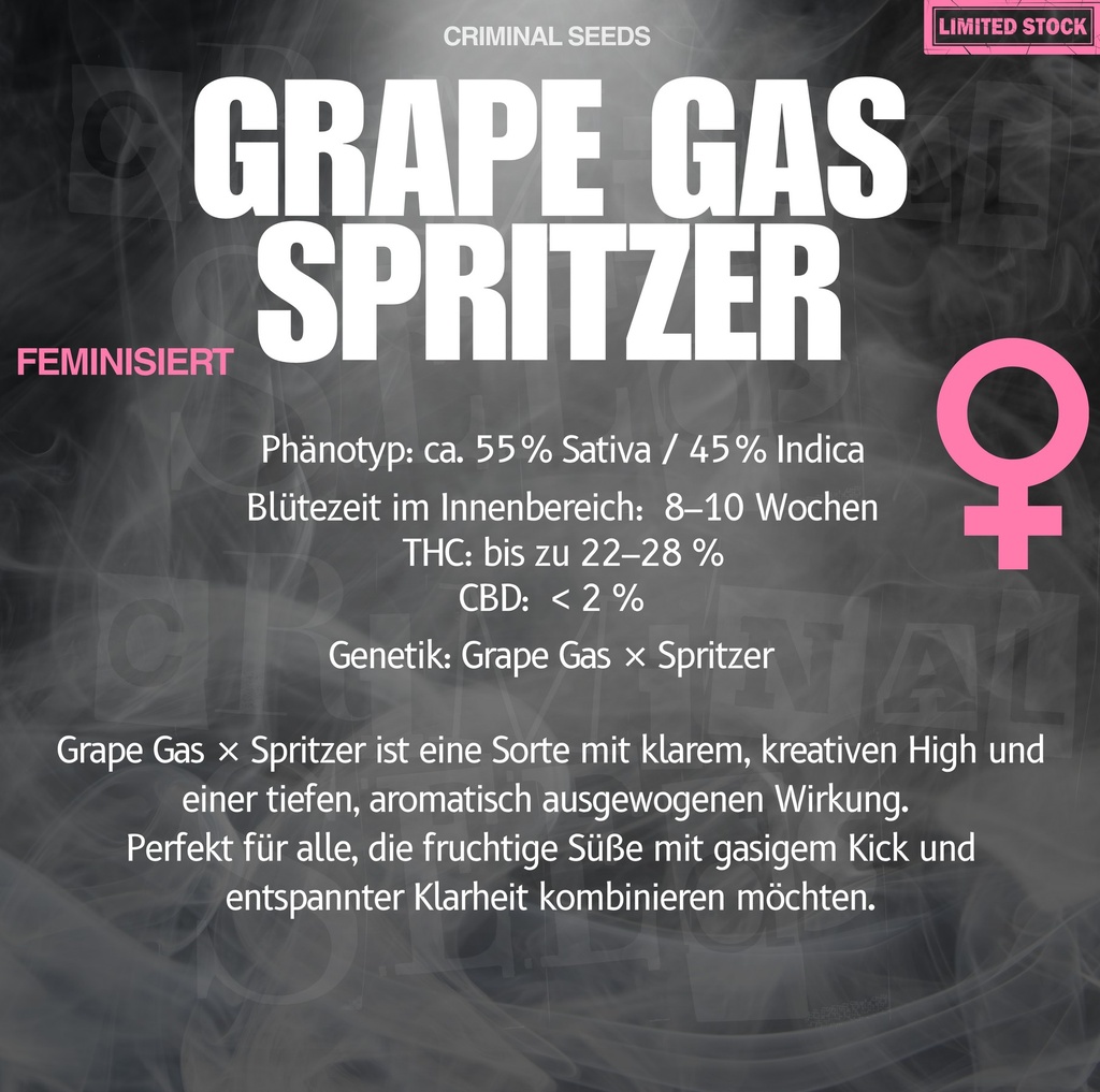 Criminal Seeds Grape Gas Spritzer Fem 3St. Bild 2