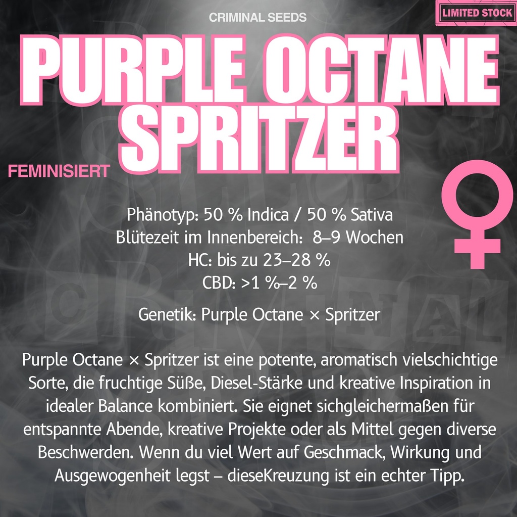 Criminal Seeds Purple Octane Spritzer Fem 3St. Bild 2